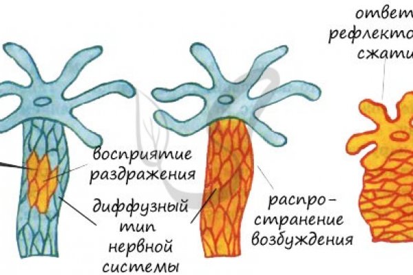 Kra32.cc