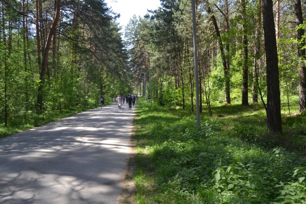 Запрещенный сайт кракен