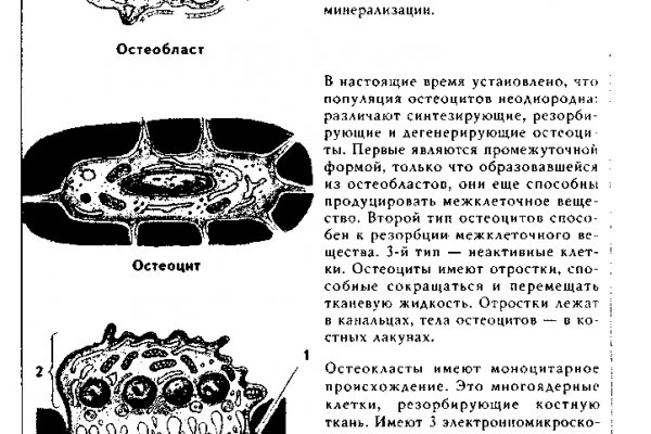 Как восстановить пароль кракен