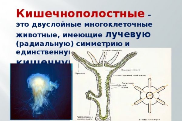 Как вернуть аккаунт кракен